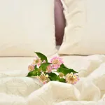 Sweet Luxury House * Alepú