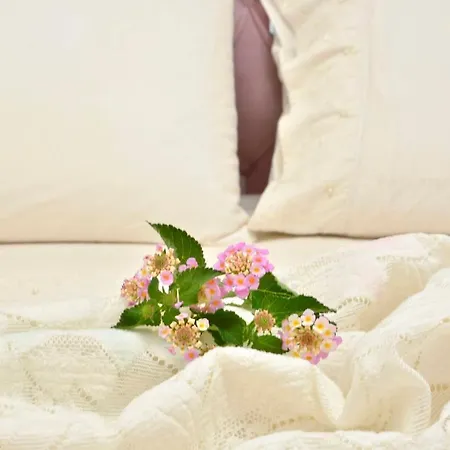 Sweet Luxury House * Alepú